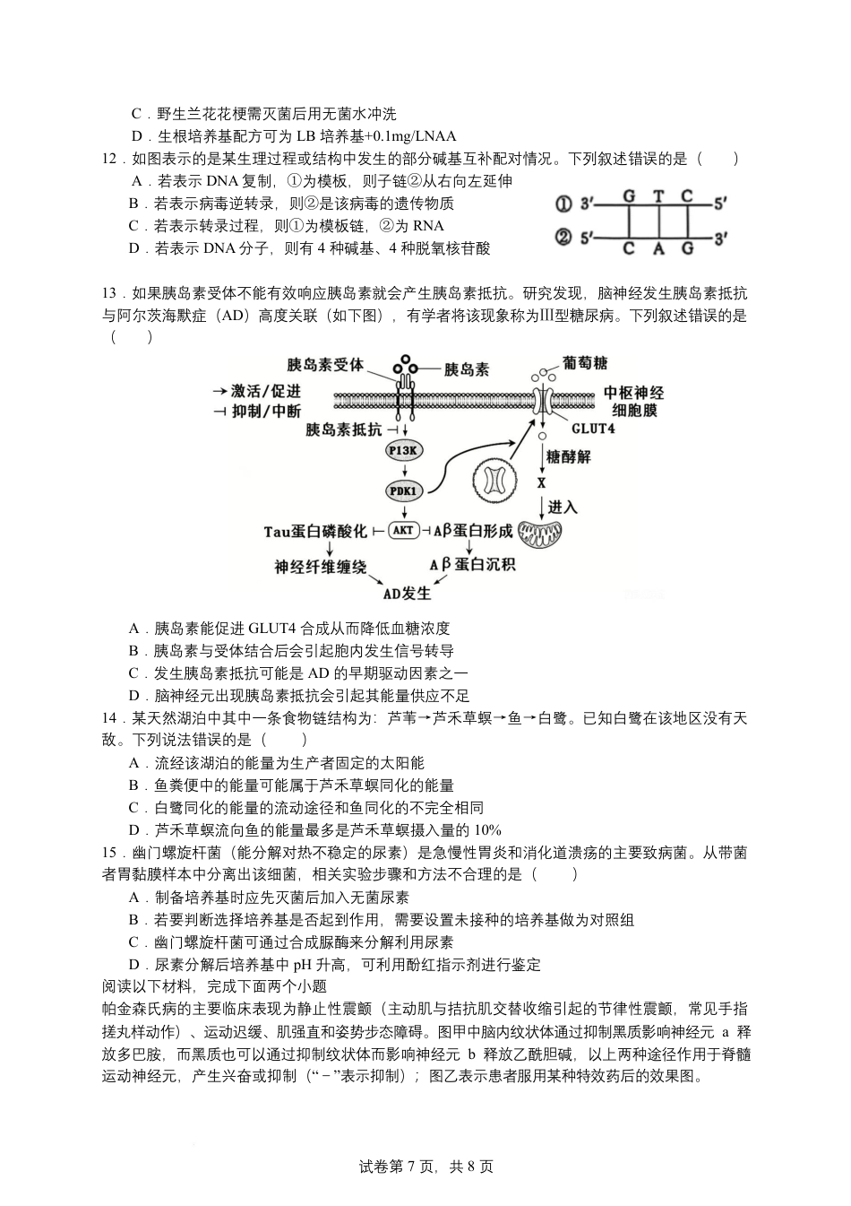 浙江宁波市北仑中学2026-2027学年高三上学期返校考生物试题（含答案） (1).pdf_第3页