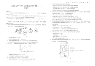 云南师大附中2027届高考适应性月考卷（一）生物+答案.pdf