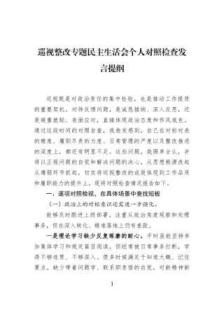 2026巡视整改专题民主生活会个人对照检查发言提纲.docx