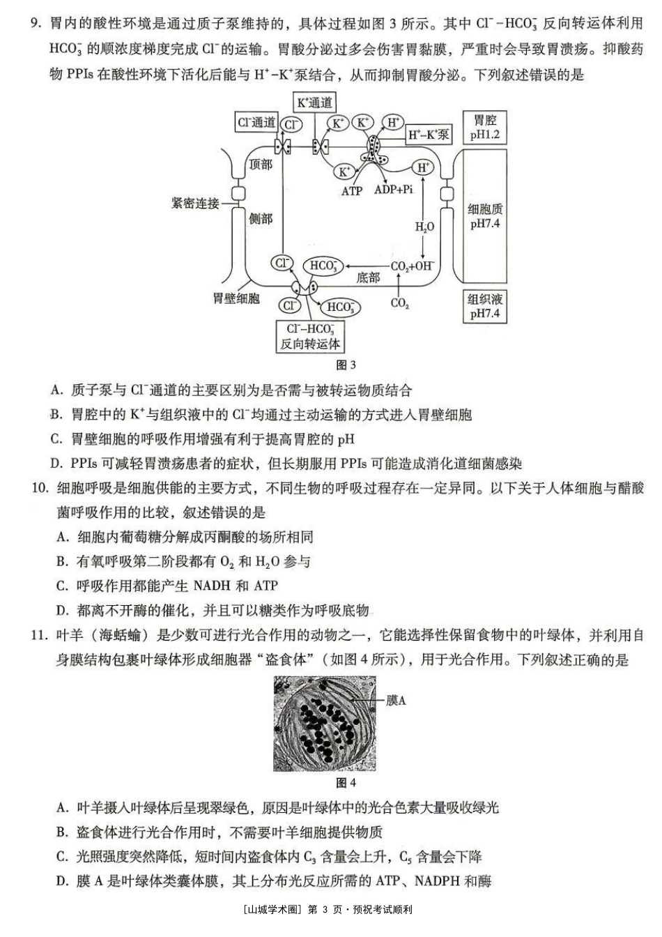 重庆巴蜀中学高2027届8月适应性月考【生物】试题+答案.pdf_第3页