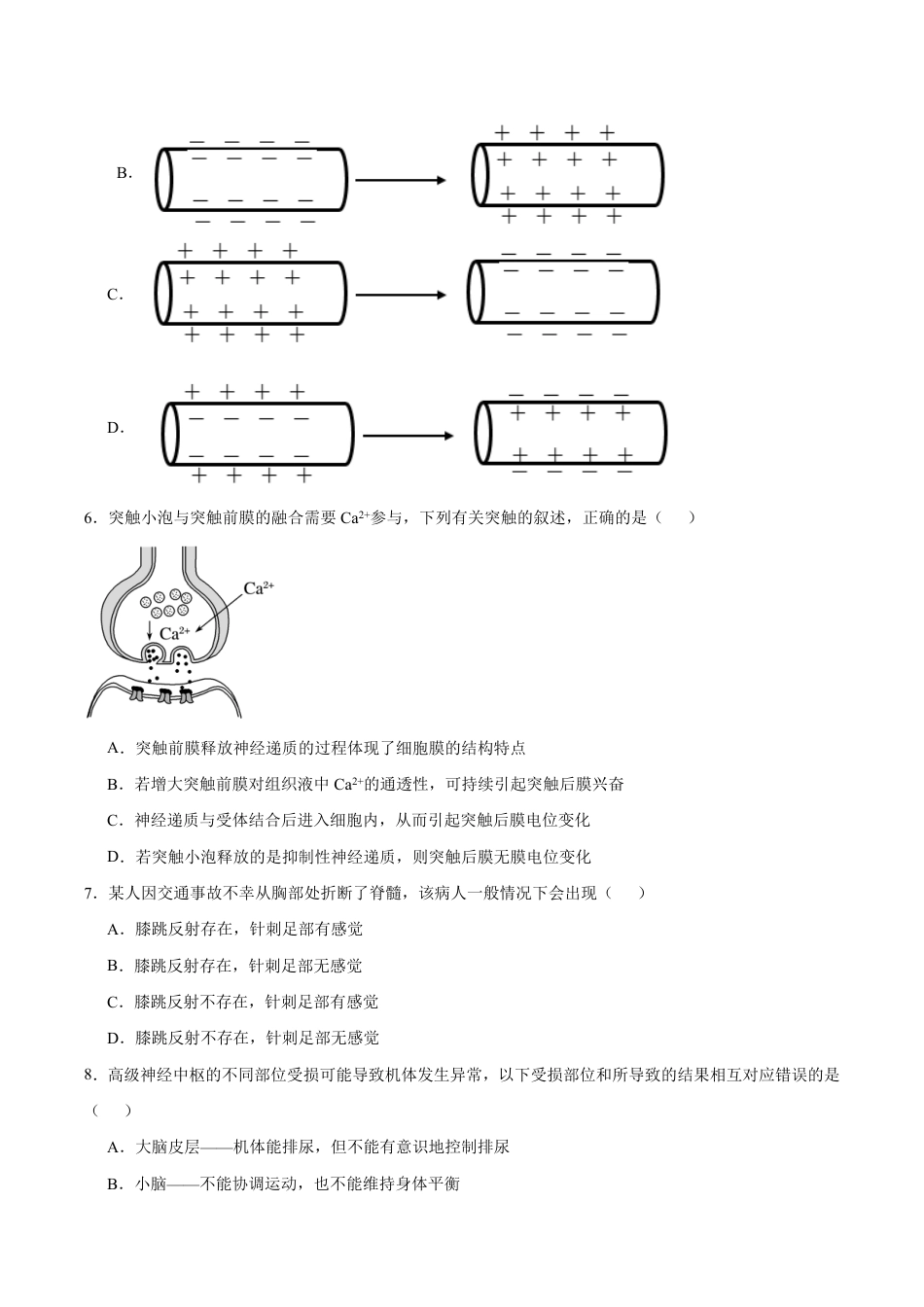 云南玉溪一中（北校区）2026-2027学年高二上学期开学考试生物试卷（含答案）.pdf_第2页