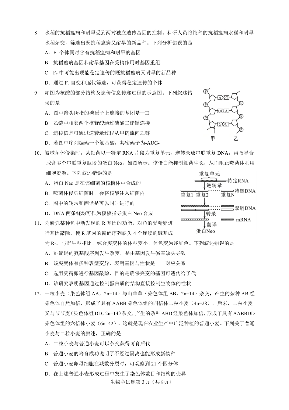 云南玉溪一中2026-2027学年高二上学期开学考试生物试题（含答案）.pdf_第3页