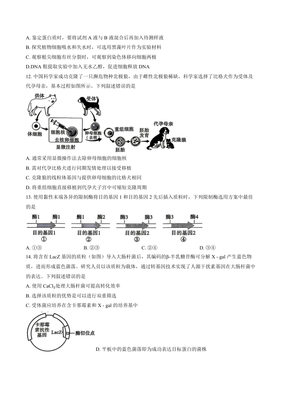 北京市丰台区2026-2027学年高二下学期期末考试生物试题（含答案）.pdf_第3页