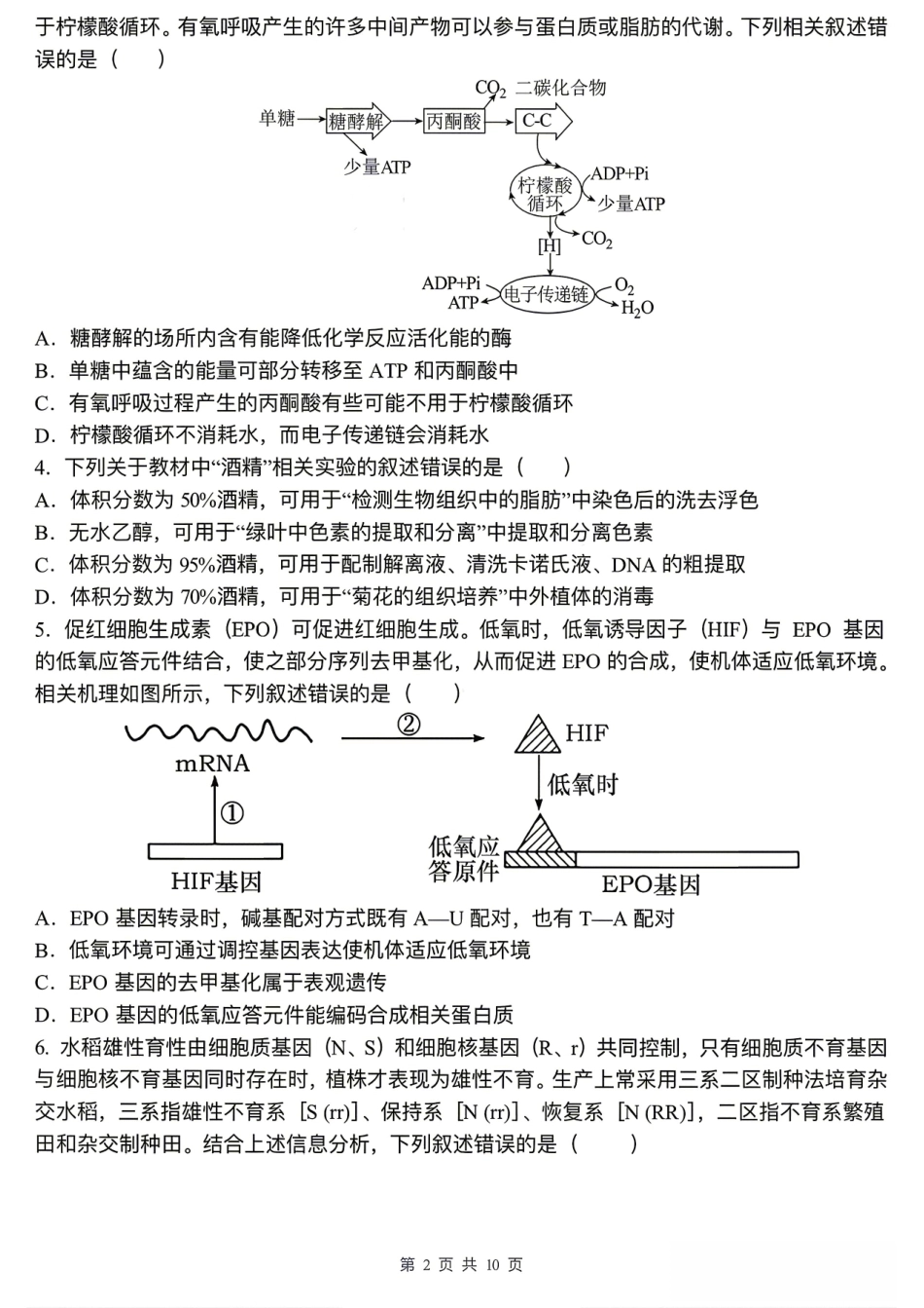 【生物】安徽省合肥市合肥一中2026届高三年级最后一卷试题+答案.pdf_第2页