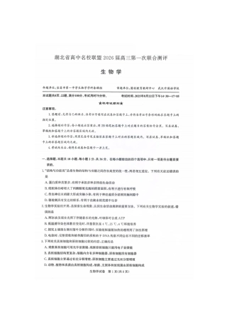 2026届湖北圆创名校联盟高三第一次联合测评生物试卷含答案.pdf