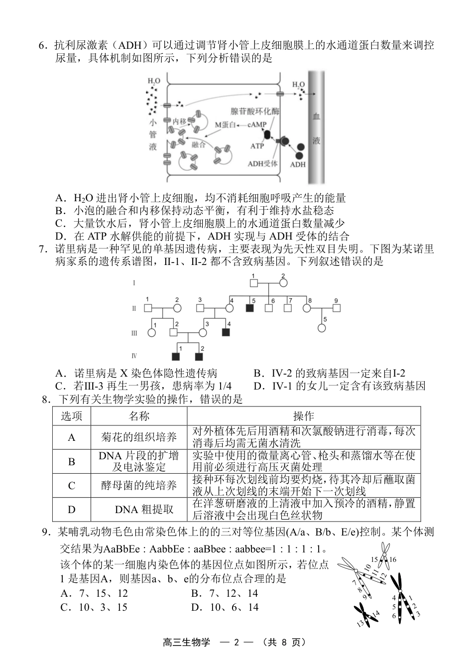 福建省福州市2026-2027学年高三年级适应性练习（福州一检）（生物）试卷+答案.pdf_第2页