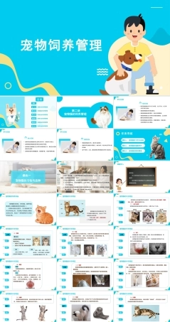 宠物饲养管理：宠物猫的饲养管理PPT教学课件.pptx