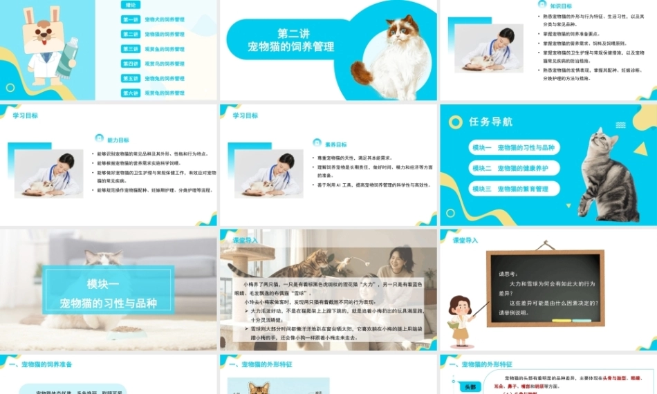 宠物饲养管理：宠物猫的饲养管理PPT教学课件.pptx