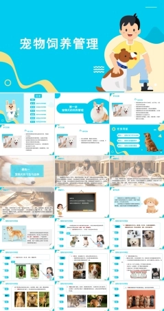 宠物饲养管理：宠物犬的饲养管理 PPT教学课件.pptx