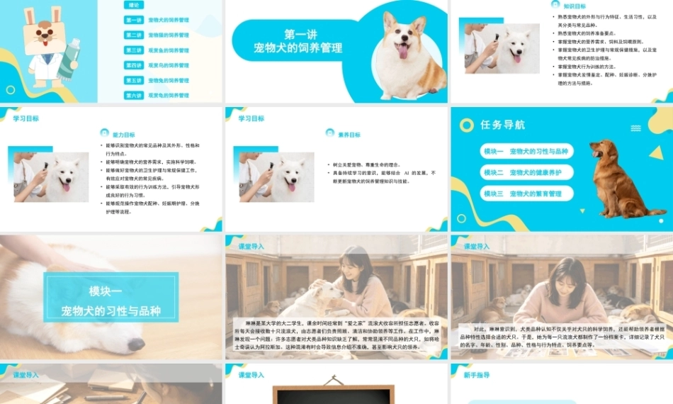 宠物饲养管理：宠物犬的饲养管理 PPT教学课件.pptx