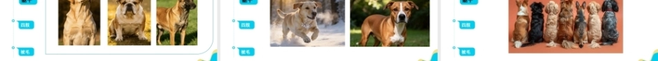宠物饲养管理：宠物犬的饲养管理 PPT教学课件.pptx