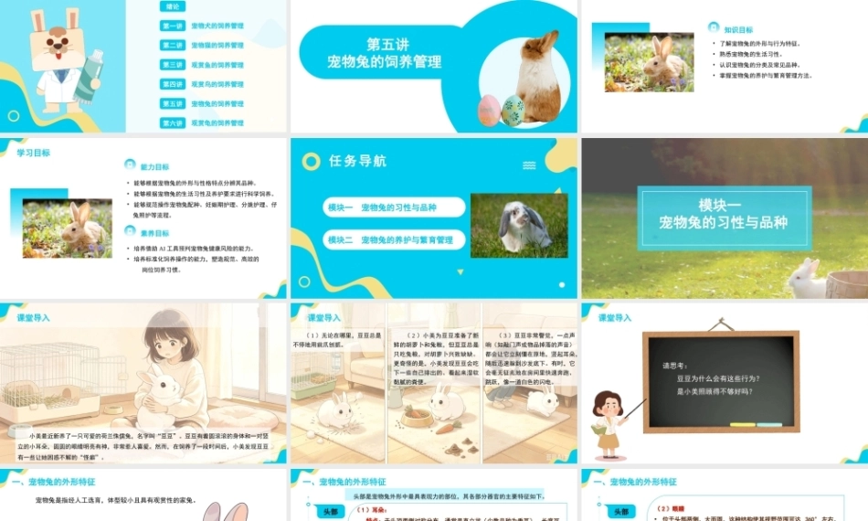 宠物饲养管理：宠物兔的饲养管理PPT教学课件.pptx