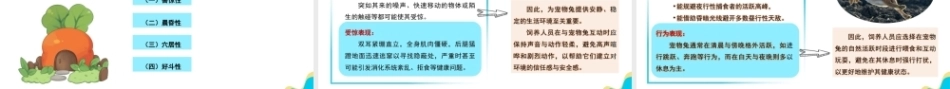 宠物饲养管理：宠物兔的饲养管理PPT教学课件.pptx