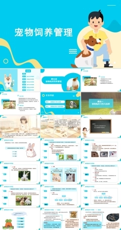 宠物饲养管理：宠物兔的饲养管理PPT教学课件.pptx