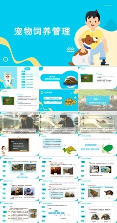 宠物饲养管理：观赏龟的饲养管理PPT教学课件.pptx