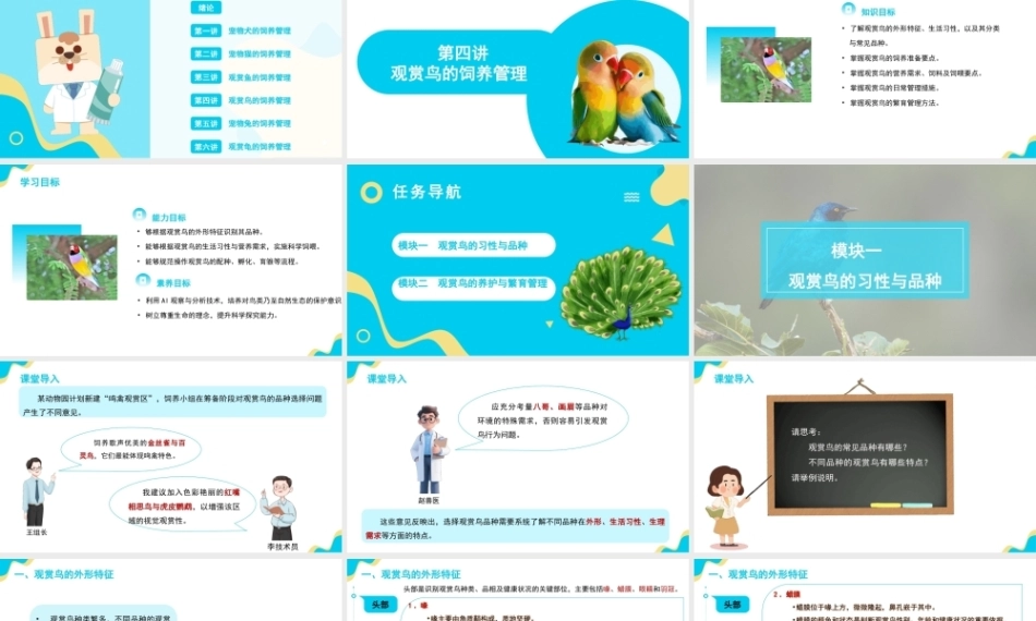 宠物饲养管理：观赏鸟的饲养管理PPT教学课件.pptx