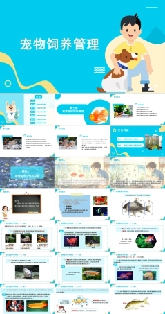 宠物饲养管理：观赏鱼的饲养管理PPT教学课件.pptx
