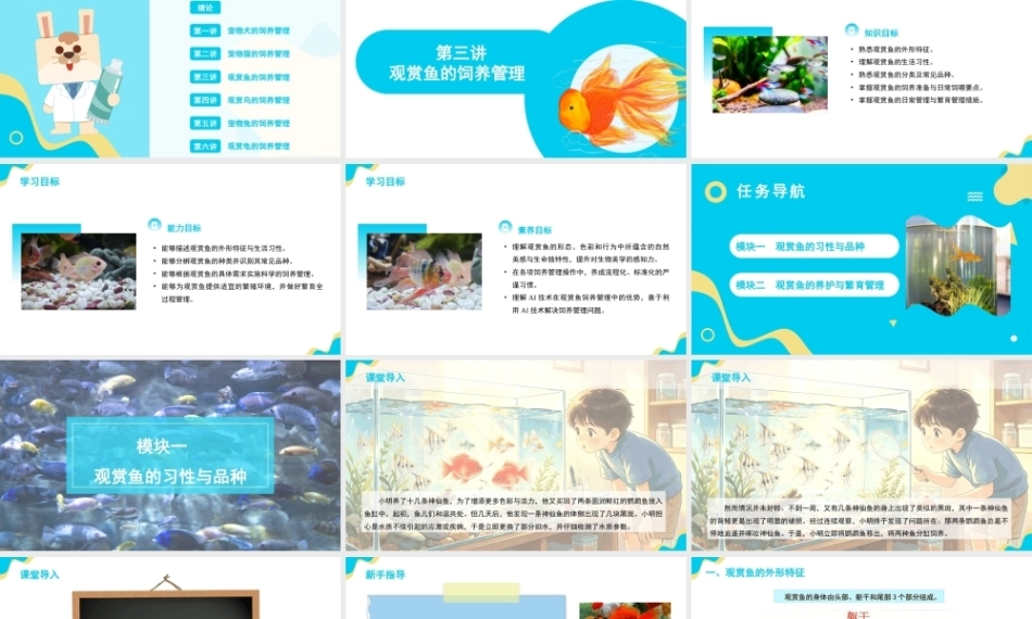 宠物饲养管理：观赏鱼的饲养管理PPT教学课件.pptx