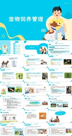 宠物饲养管理：绪论PPT教学课件.pptx