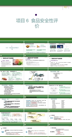 食品质量安全与控制技术：食品安全性评价PPT教学课件.pptx