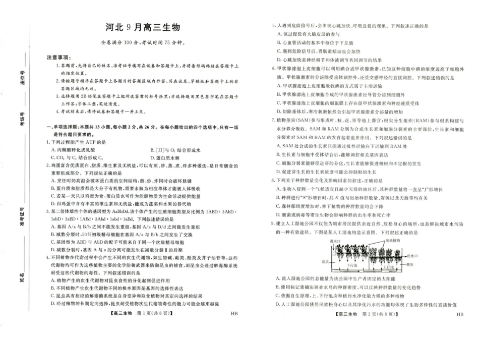 河北省金科大联考2027届高三上学期9月联考【生物】试题+答案.pdf_第1页