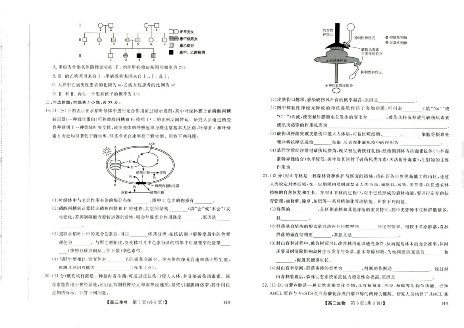 河北省金科大联考2027届高三上学期9月联考【生物】试题+答案.pdf_第3页