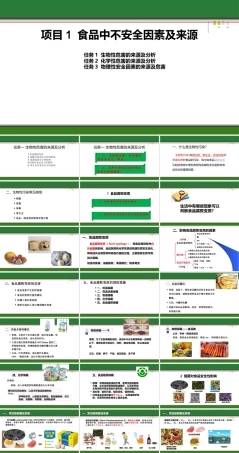食品质量安全与控制技术：食品中不安全因素及来源PPT教学课件.pptx