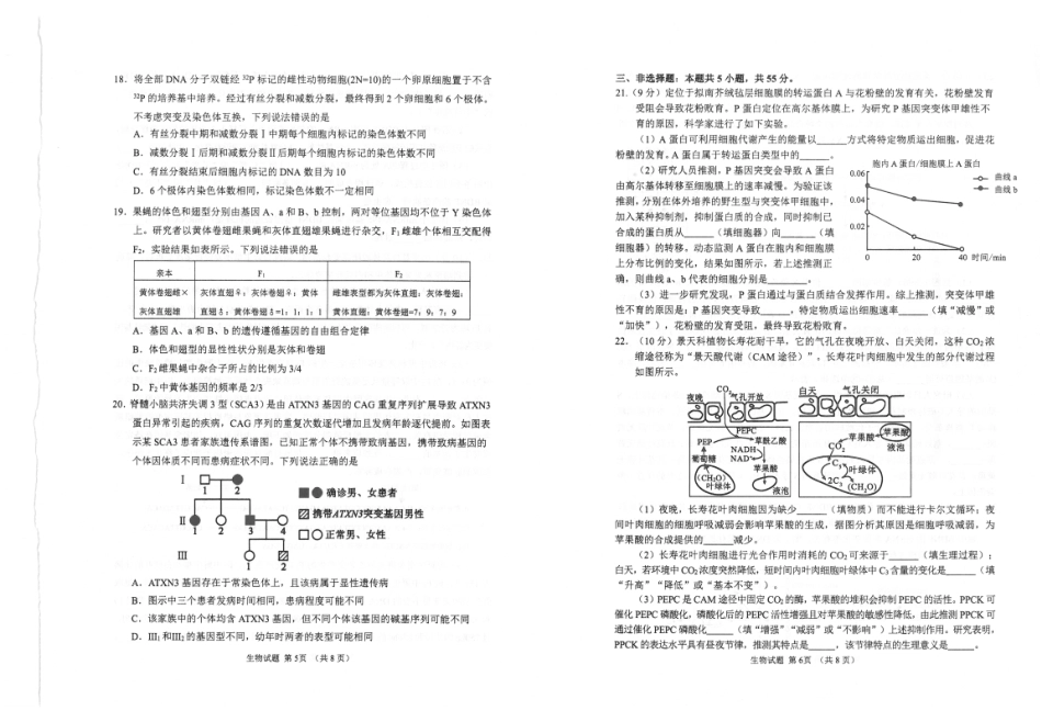 山东省九五联盟2026-2027学年高三上学期9月学习质量综合评估【生物】试题+答案.pdf_第3页