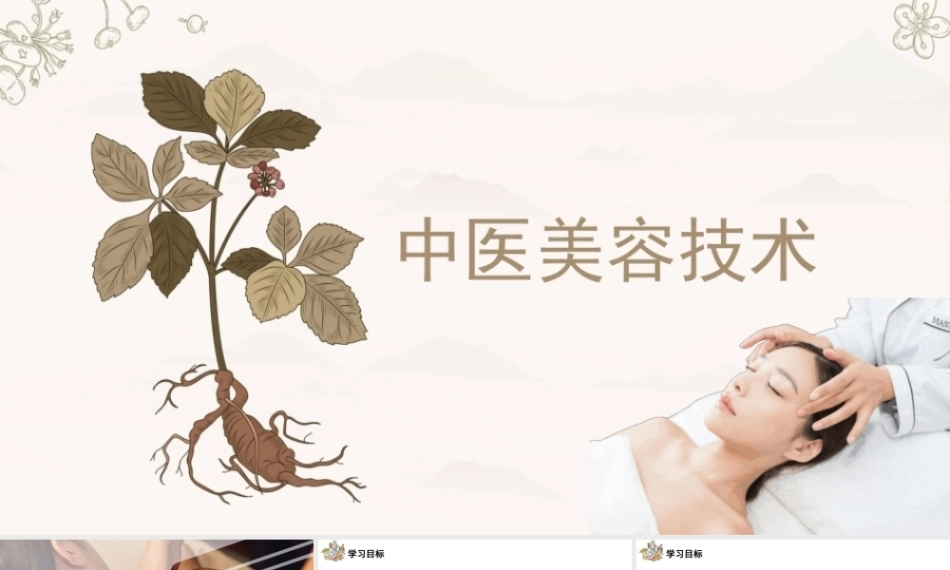 中医美容技术：推拿美容法PPT教学课件.pptx