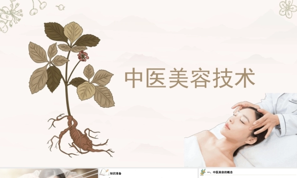 中医美容技术：绪论PPT教学课件.pptx