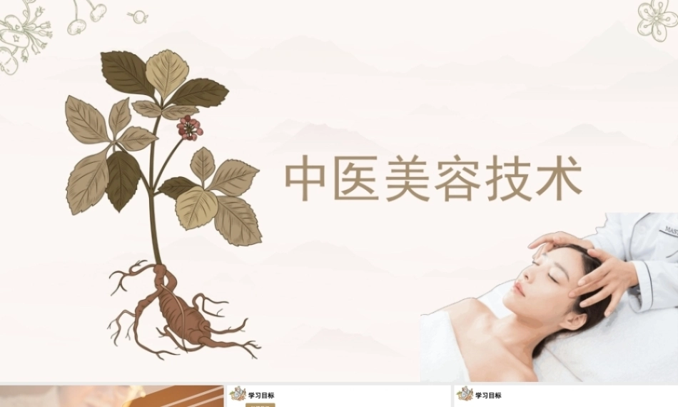 中医美容技术：针灸美容法PPT教学课件.pptx