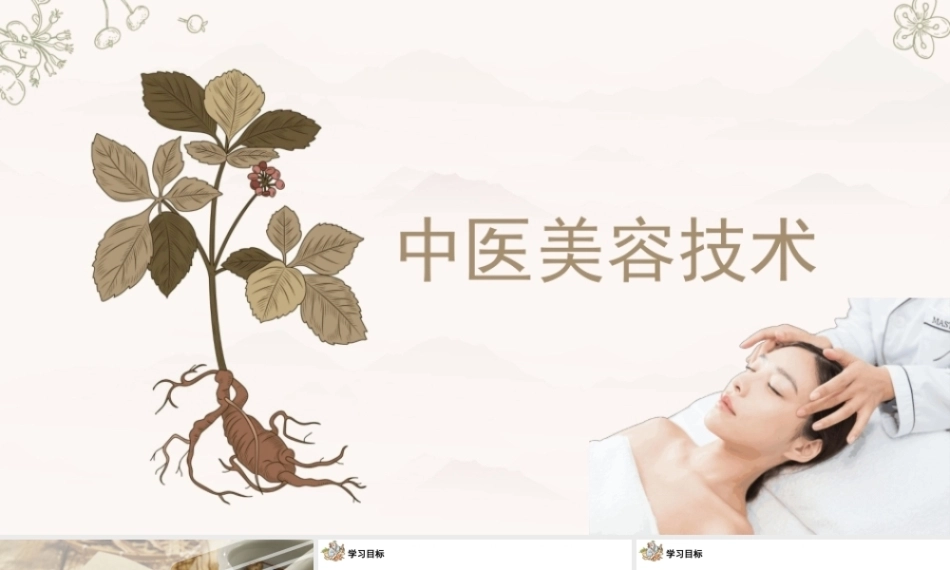 中医美容技术：中药外用美容法PPT教学课件.pptx