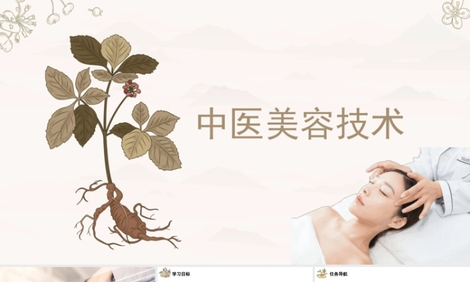 中医美容技术：中医保健美容PPT教学课件.pptx