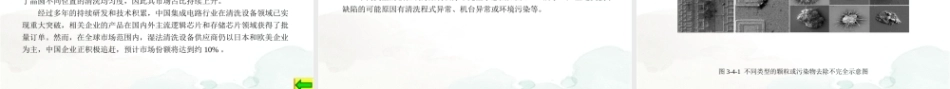 集成电路制造技术与实践：硅晶圆清洗工艺PPT教学课件.pptx