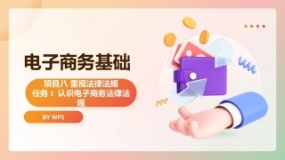 电子商务基础（第2版）：重视法律法规PPT教学课件.pptx