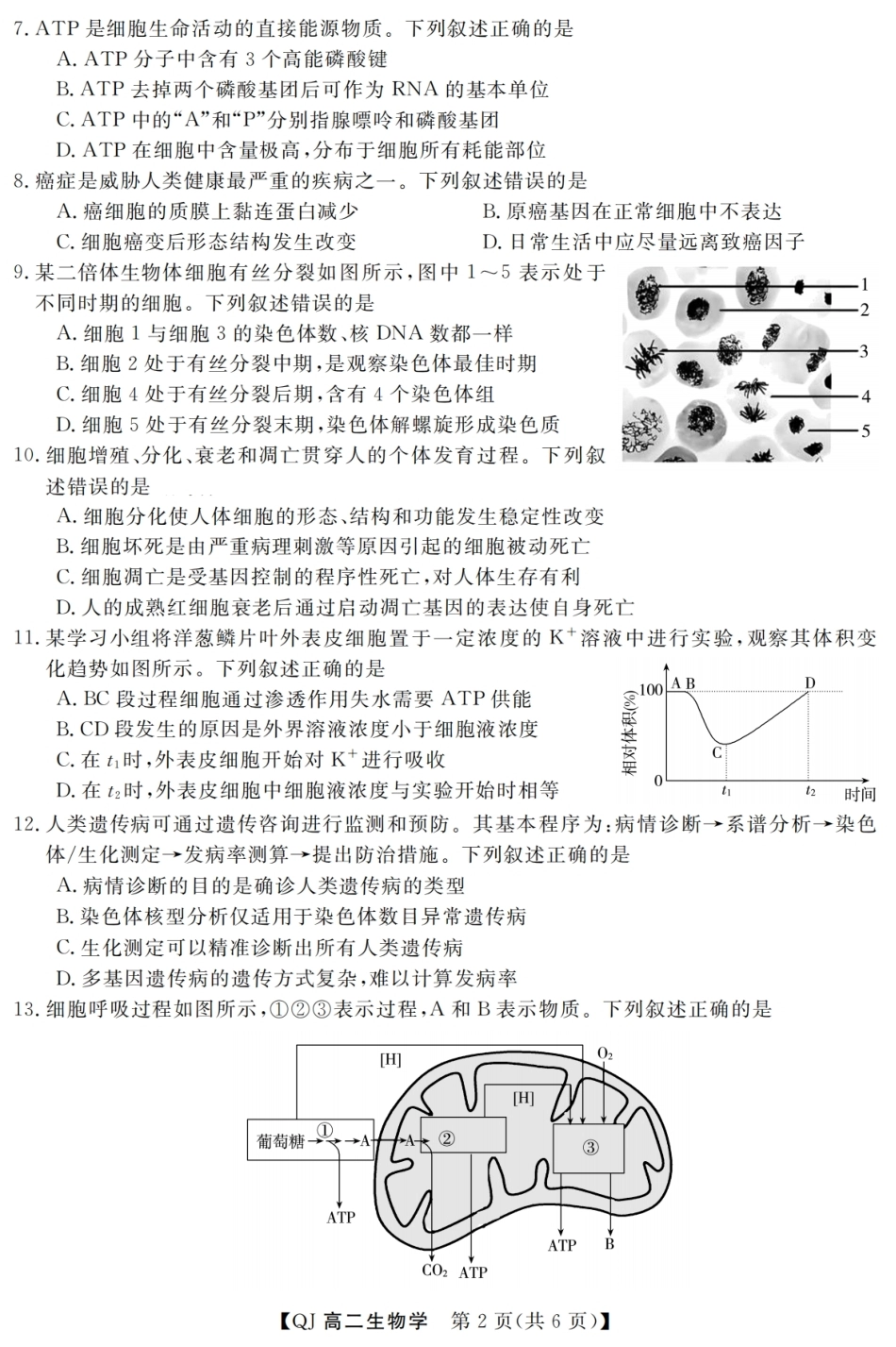 浙江省强基联盟2026-2027学年高二上学期开学生物试题含答案.pdf_第2页