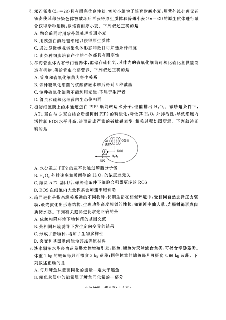 河南省青桐鸣联考2026-2027学年2027届高三年级上学期开学学情调研(9.2-9.3)（生物）+答案+评分细则.pdf_第2页