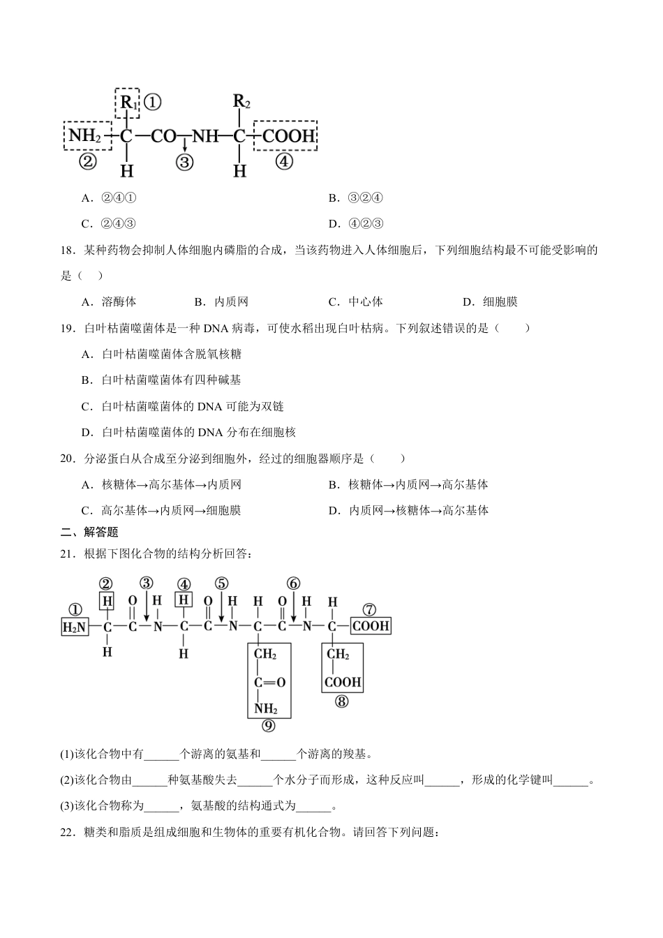 黑龙江省黑河市嫩江一中2026-2027学年高一上学期开学生物试卷（含答案）.pdf_第3页