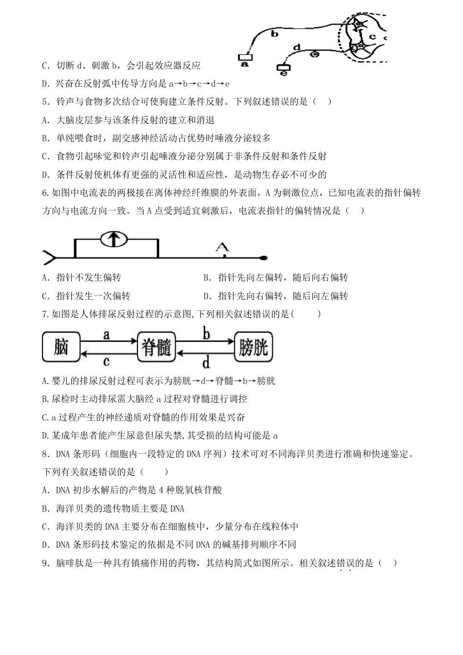 河南省焦作市武陟县第一中学2026-2027学年高二上学期开学考试生物试题（含答案）.pdf_第2页