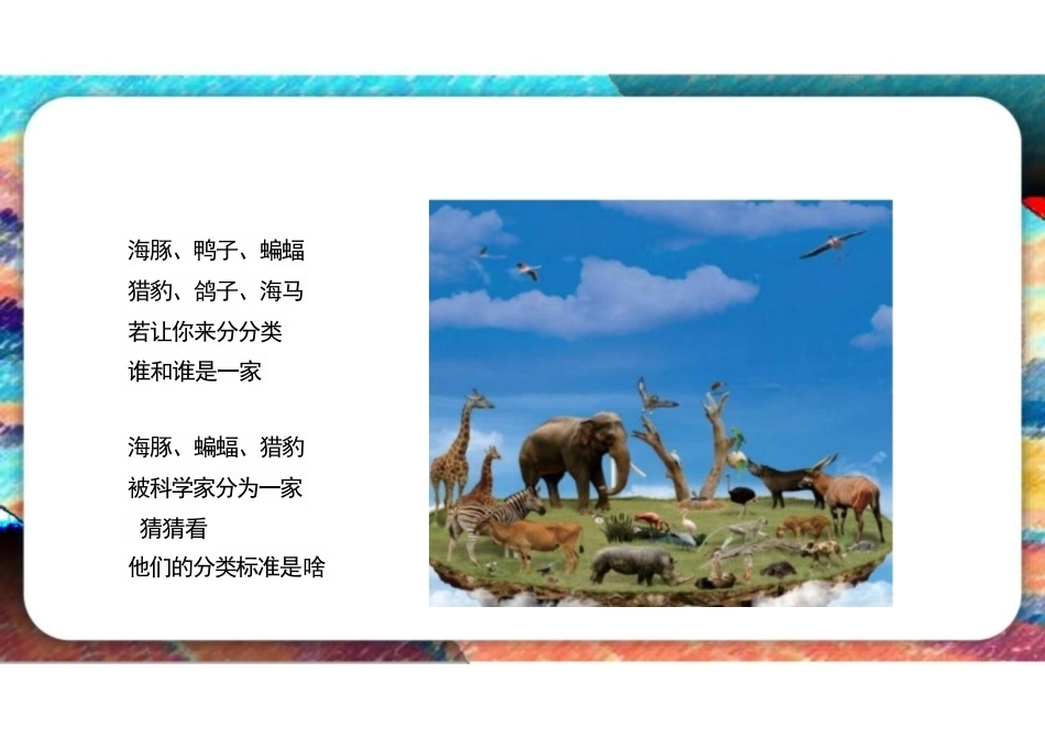苏教版（2026秋新版）小学四年级科学上册全册PPT课件.pptx_第3页