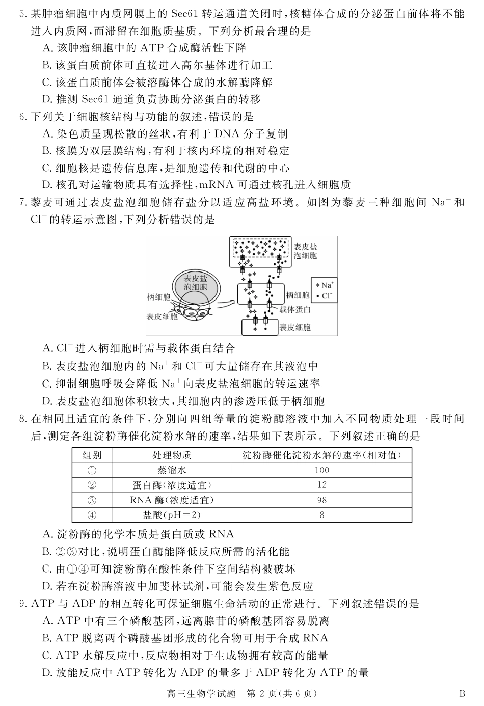 安徽省华师联盟2027届高三9月份开学质量检测试题【生物】+答案.pdf_第2页