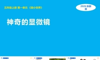 小学科学新湘科版五年级上册全册教学课件（2026秋）.rar