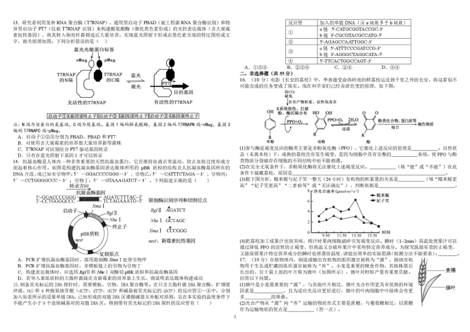 树德中学2027届高三上学期开学考试 生物+答案.pdf_第3页
