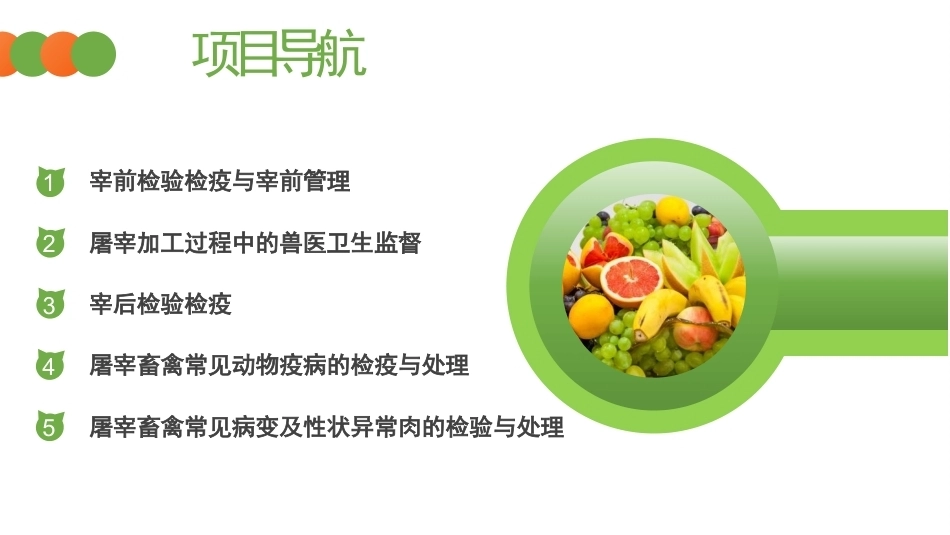 动物性食品卫生检验：屠宰加工过程中的检验检疫与卫生监督PPT教学课件.pptx_第2页