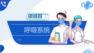 解剖学基础：呼吸系统PPT教学课件.pptx