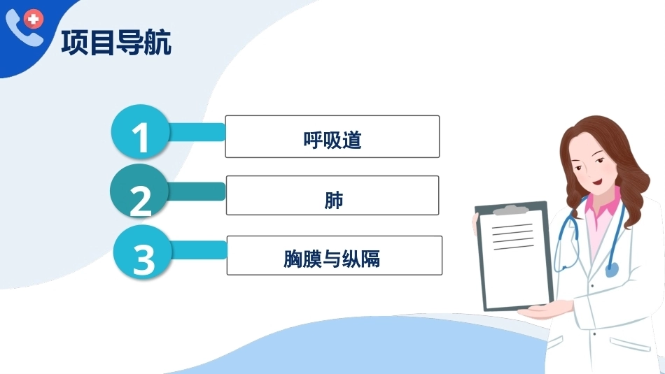 解剖学基础：呼吸系统PPT教学课件.pptx_第3页