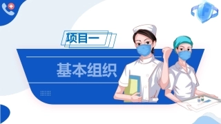 解剖学基础：基本组织PPT教学课件.pptx