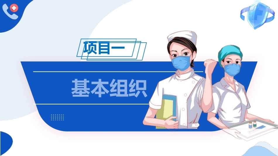 解剖学基础：基本组织PPT教学课件.pptx_第1页