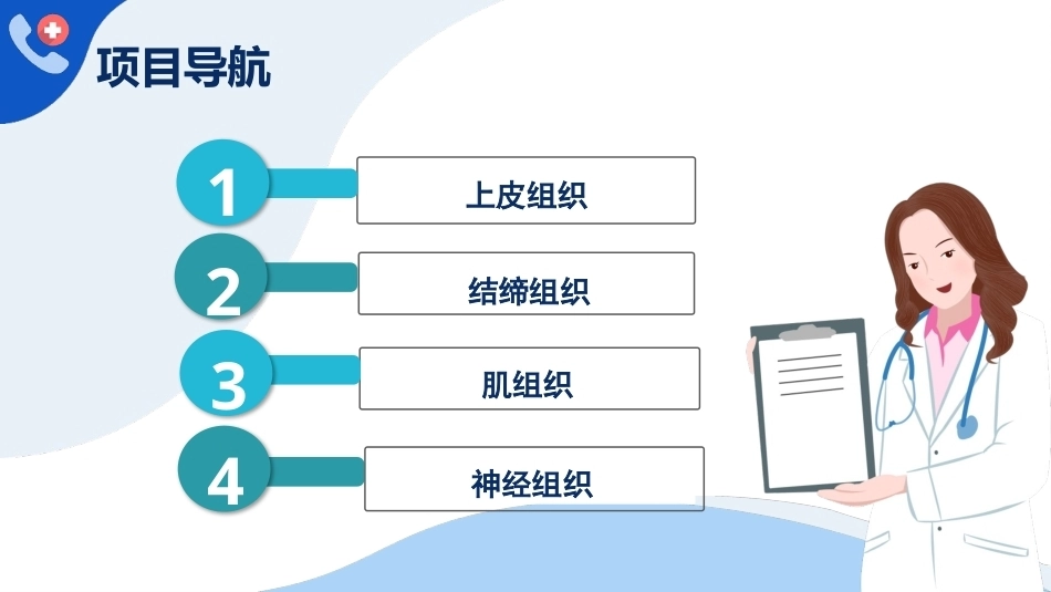 解剖学基础：基本组织PPT教学课件.pptx_第3页