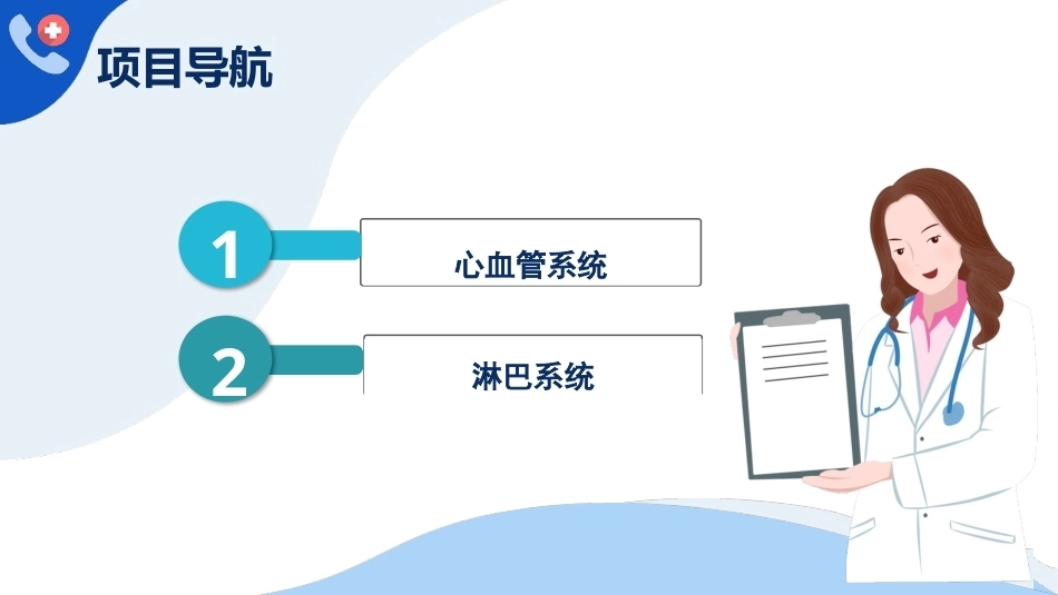 解剖学基础：脉管系统PPT教学课件.pptx_第3页